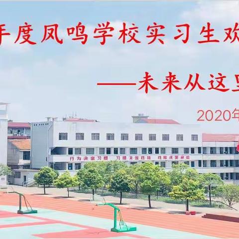 未来从这里启航——凤鸣学校2020年实习生欢送会