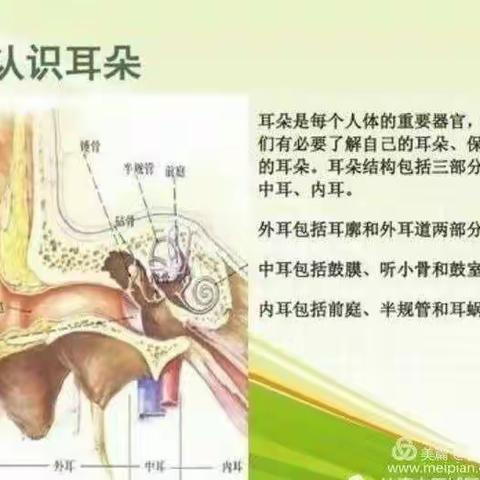 感恩有你，亲爱的妈妈————新湖总场幼儿园大一班“三八”主题教育