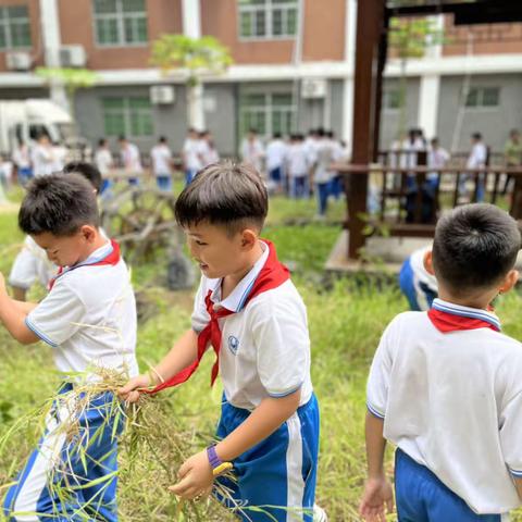 天涯小学新学期 ——劳动快乐周