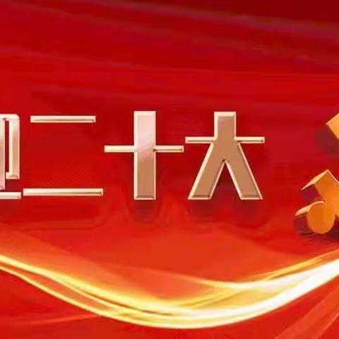 “大学习、大讨论、大宣传、大实践”——盐池一幼开展“学讲话、悟思想、见行动、当先锋”主题党日活动