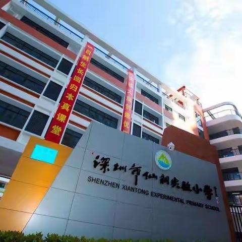 美在仙桐，魅在仙桐——记江西省寻乌县城关小学骨干教师赴深圳市仙桐实验小学跟岗学习