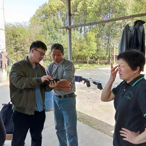 咸宁骆驼饲料服务佳