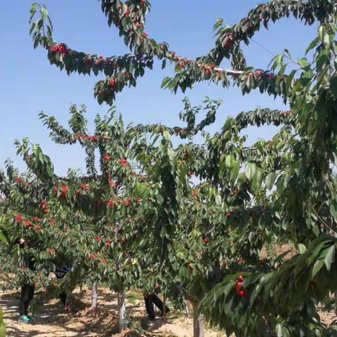 三原县劳动服务中心的美篇