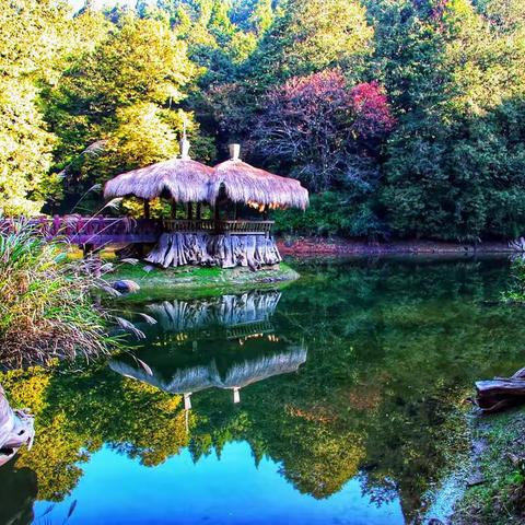 随遇而拍之台湾阿里山（续完）