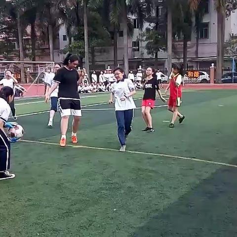 招财进宝的美篇