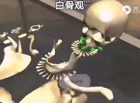 白骨观（胆小者勿看）