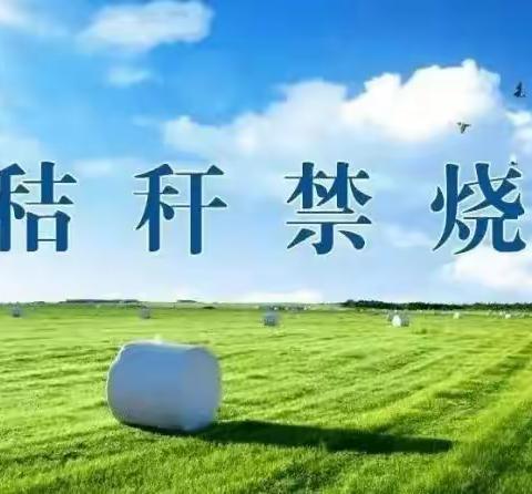 禁烧秸秆，护碧水蓝天——西土山乡东湖小学秸秆禁烧宣传活动