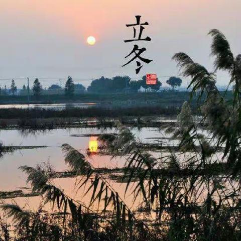 11月3日一年级晨诵