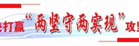 打赢“两坚守，两实现”攻坚战，梨树镇站在行动！