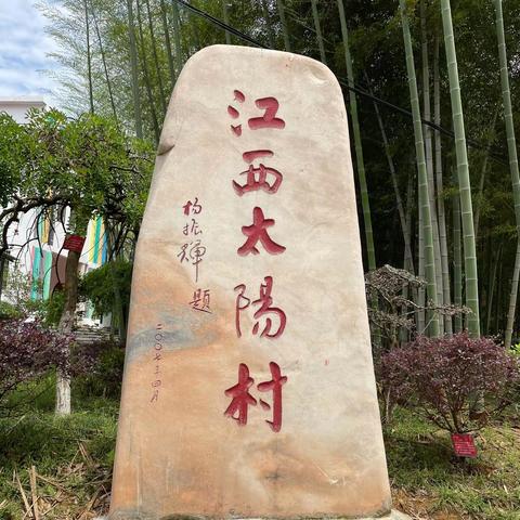 太阳村小学“红领巾心向党，祖国发展我成长”六一活动精彩回顾