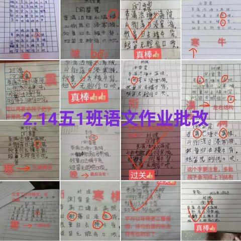 宁远县大阳洞完小“线上学习”活动小结