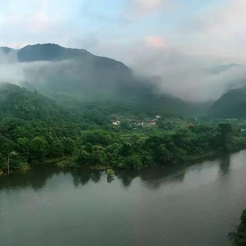 保护九岭生态 描绘绿水青山——江西省保护野生动物宣传月活动纪实