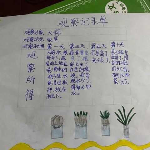 三年级上册习作单元观察记录
