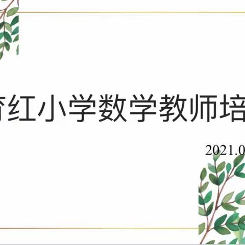 共同探究数学魅力，提升教师教学水平———记育红小学数学老师暑期培训