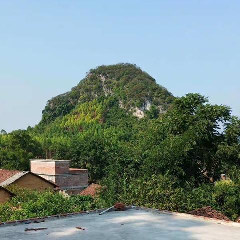 登山怀旧，瞻景情澜