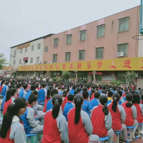 携手共进教学，不负桃李芳华!——金山双语小学期末教学总结