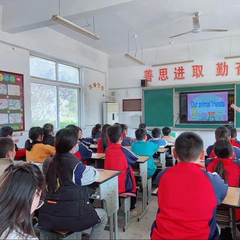 践行英语新课标，促进单元融合教学——江庄镇高村小学英语教研活动（青蓝工程徒弟汇报课）