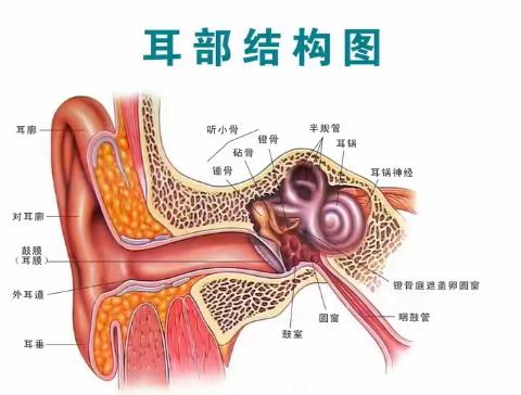 【和谐教育 幸福东沙河】科学爱耳护耳 实现主动健康——东沙河街道千庄幼儿园全国"爱耳日"知识宣传