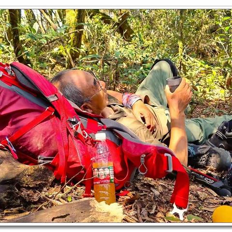 披荆斩棘  披星戴月  只为热带雨林顶峰休憩一刻
