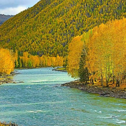 禾木河畔风光美