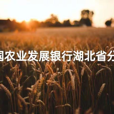 农发行湖北省分行举办调查评估专业人才库选拔考试