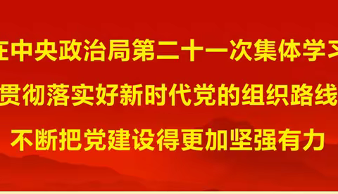 新疆分公司运营/监审党支部线上学习