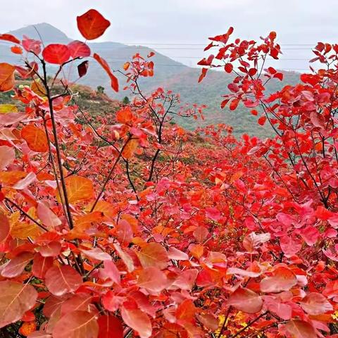 邀妳作客战国渑池之城，品读懂七千年仰韶文化。