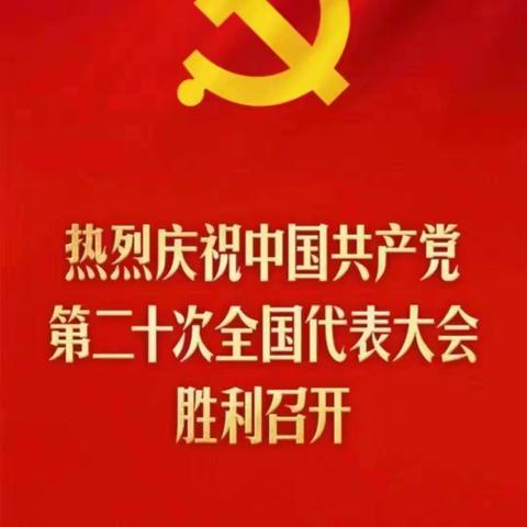 濮城镇中心校组织全镇师生集中观看党的二十大直播