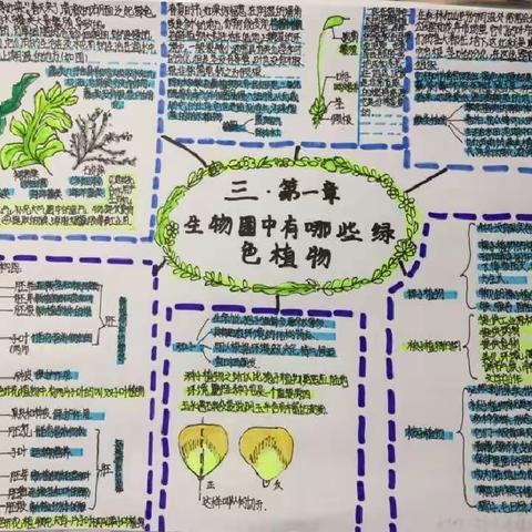 西安市第六中学初2022级13班优秀作业展评一