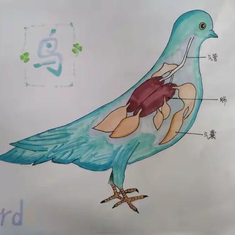 用色彩填充学习，让思维看得见——记“六中名校+教育联合体”北校区八年级生物学科教学活动