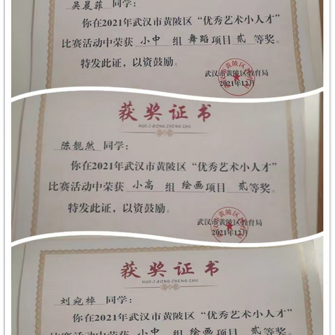 喜报 | 热烈祝贺黄陂区罗汉小学10名同学在黄陂区艺术小人才比赛中获奖