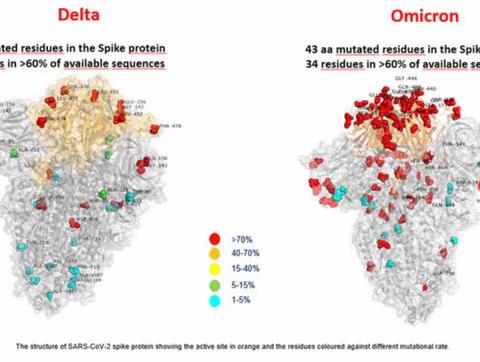 义院口小学健康教育宣传第七期--关于奥密克戎你需要知道的