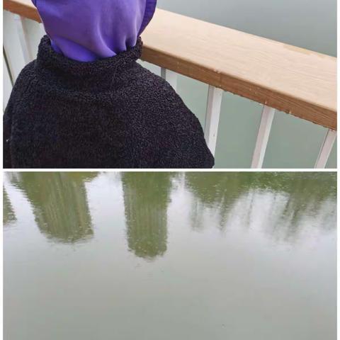 找春天