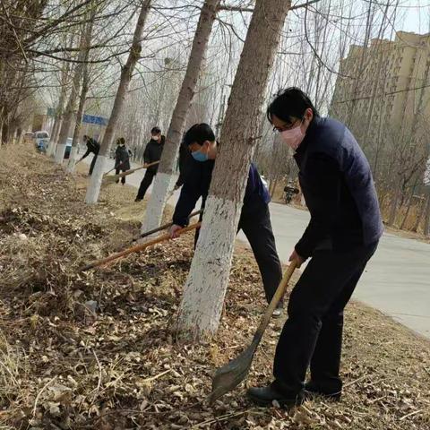 维护环境面貌  一中党员在行动