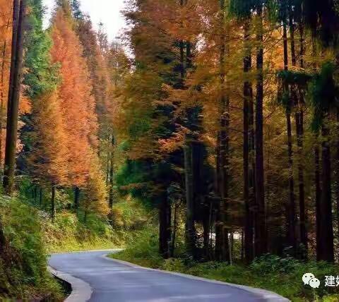 我的国庆小长假