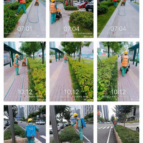 福田C标段6月21日养护工作小结-国艺园林