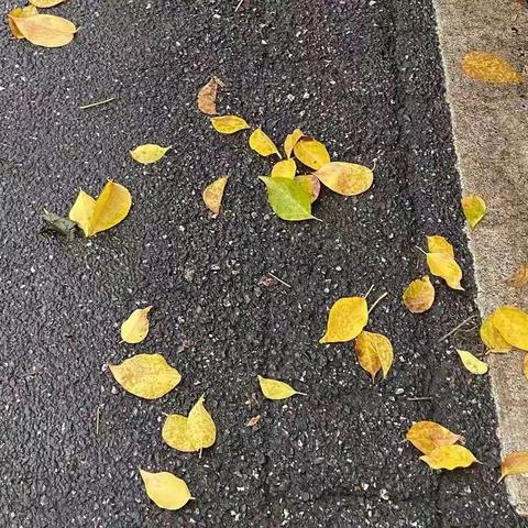 秋日里那一抹红——安吉县第二小学602班护航小记