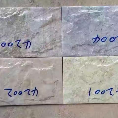20x40