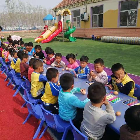 小鸡蛋里的大天地