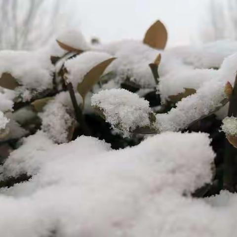 师生共扫雪，安全伴你我—北石佛乡中心小学