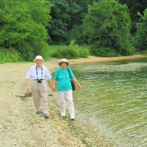 美好回忆，幸福生活。 执子之手，与子偕老。