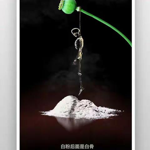 小陈乡中心小学禁毒宣传活动