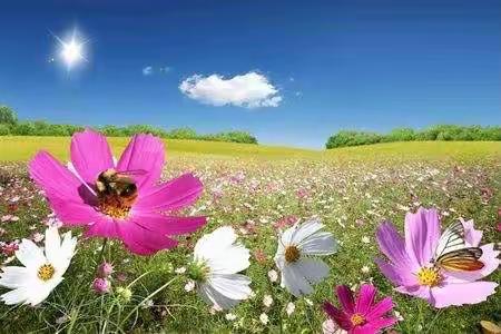 春花繁似锦，成长乐无穷