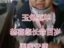 横空出世第廿一集兔年运动辑