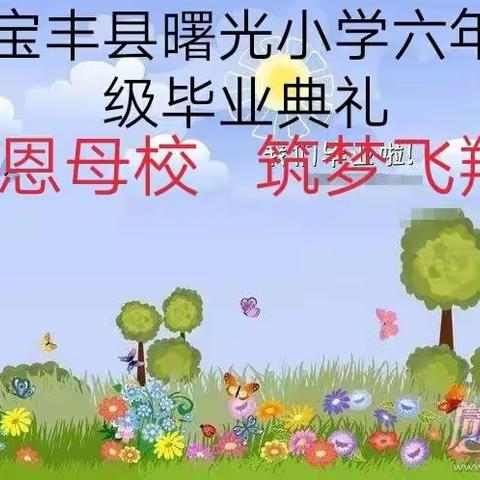 感恩母校，筑梦飞翔——2021年宝丰县曙光小学毕业典礼！