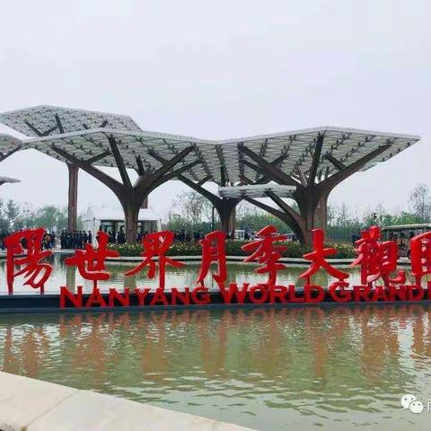麦山中心小学多措并举做好植树节“爱市花，迎盛会”相关工作