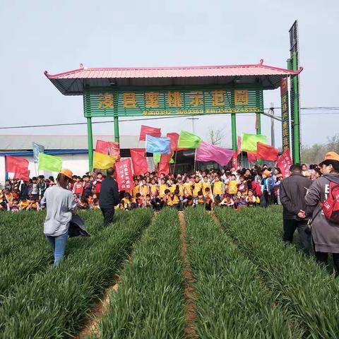 孩子们的美，桃花的美，大自然的美，永远留在我们心中！                           什村中心校一年级郊游踏青。