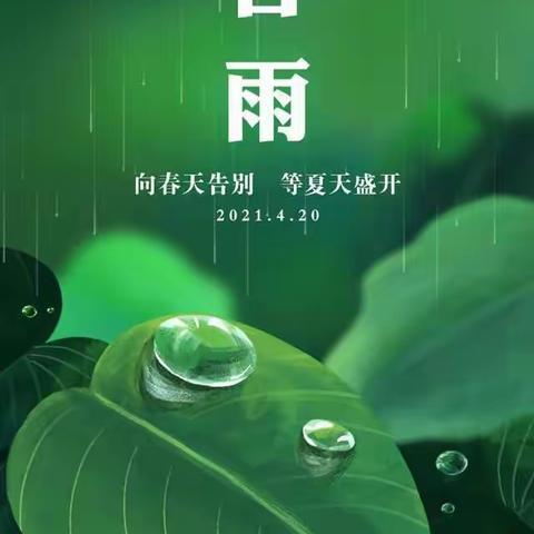 今日谷雨，告别最后的春天！