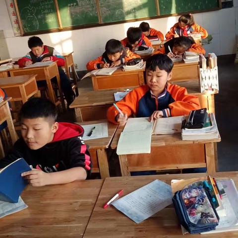 面向未来  在努力中进步