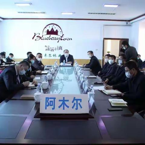 坚定林区发展信心 稳步推进林区改革 ——阿木尔林业局迅速贯彻落实林业集团公司视频会议精神